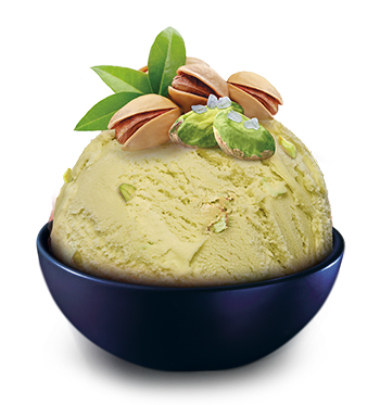 SCH-5.0 l Słona Pistacja.png