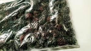 Unifreeze-O-Jeżyna 2,5kg