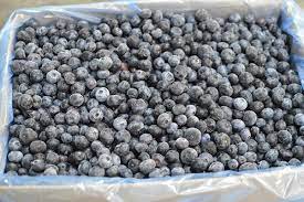 Unifreeze-O-Borówka amerykańska 2,5kg