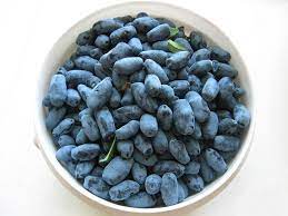 Poltino- Jagoda kamczacka 2,5kg.jpg