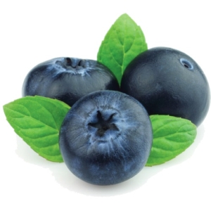 O-Jagoda (borówka amerykańska) 2,5kg