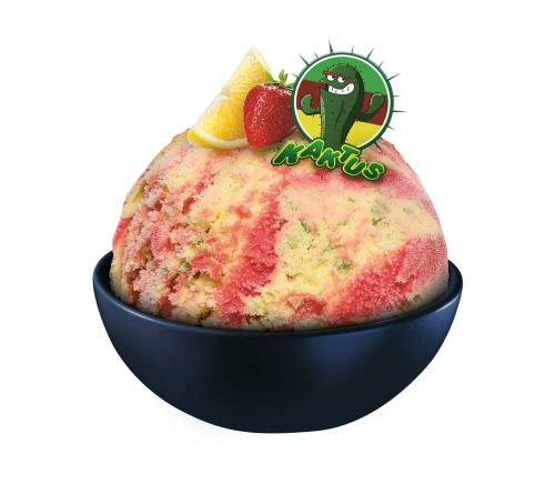 kaktus copy_Easy-Resize.com.jpg