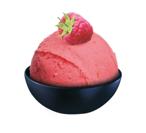 FR-5.0 l Sorbet Malina