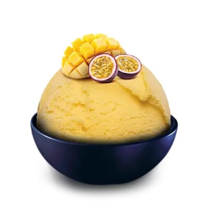 FR-5.0 l Sorbet mango-marakuja