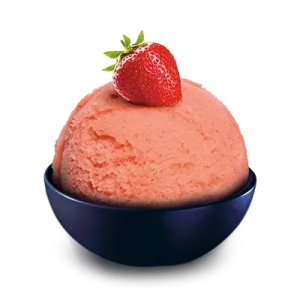 FR-5.0 l Sorbet Truskawka