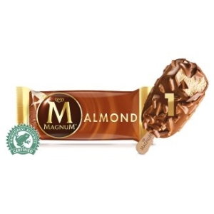 Algida-Magnum Migdałowe 110ml/20szt / karton